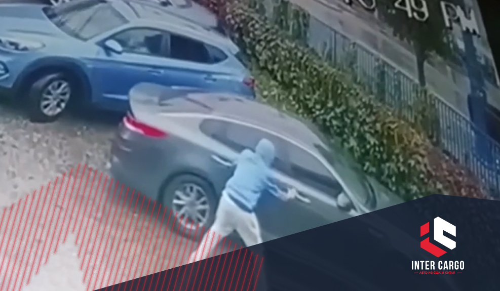 Американцы массово крадут «корейцев». Kia и Hyundai – в ТОПе
