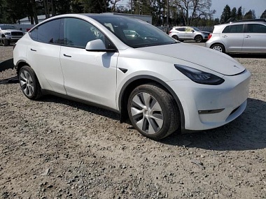 TESLA MODEL Y 2021