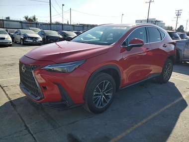 LEXUS NX 250 PREMIUM 2025