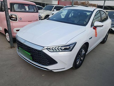 BYD Qin PLUS Honor Edition DM-i 55KM Leading Model 2024
