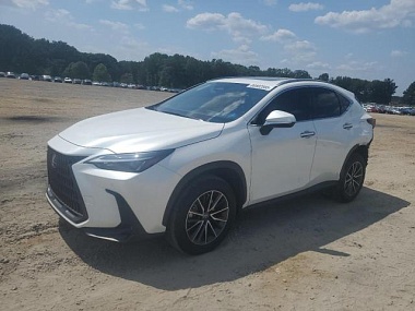 LEXUS NX 350H BASE 2024