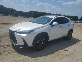 LEXUS NX 350H BASE 2024
