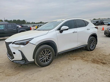 LEXUS NX 250 PREMIUM 2023