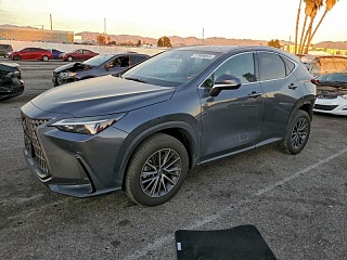 LEXUS NX 350H BASE 2023