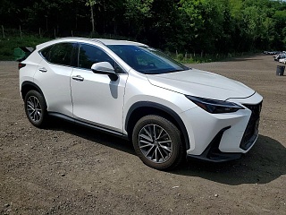 LEXUS NX 250 2023