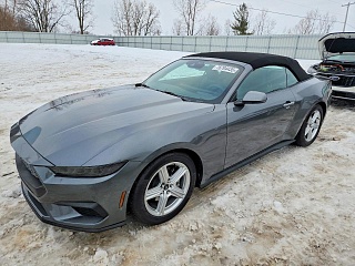 FORD MUSTANG 2025