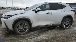 Lexus NX 2022 2.5 литра, гибрид, 30т миль